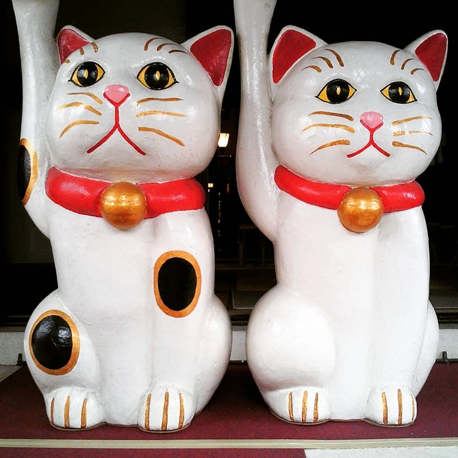 猫づくしと縁結びで有名な今戸神社
