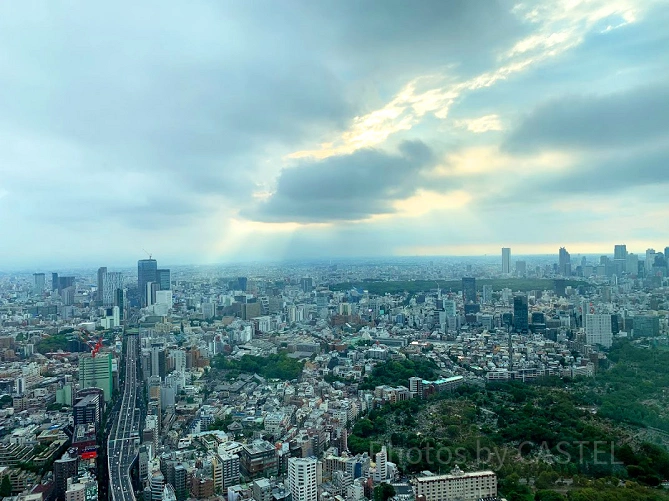 東京の街並み