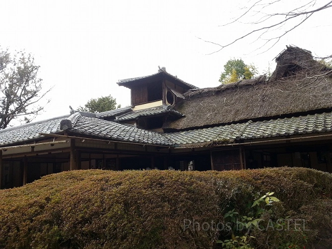 季節を問わず楽しめる京都