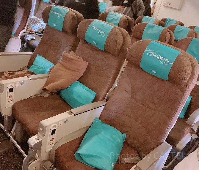 ガルーダインドネシア航空