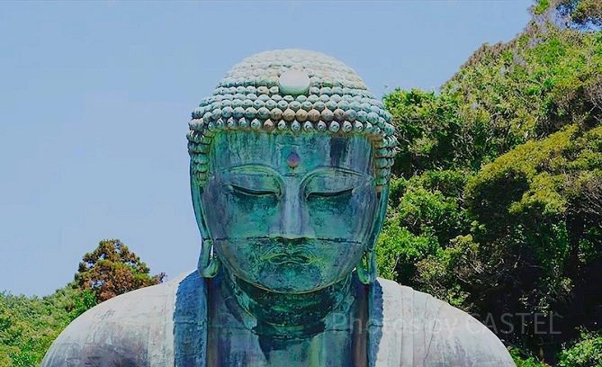 鎌倉大仏と奈良大仏を比較