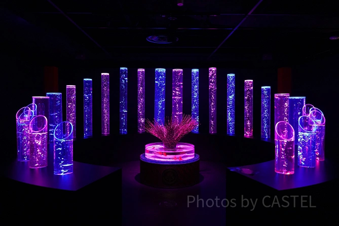 アートアクアリウム美術館 GINZA：金魚の竹林
