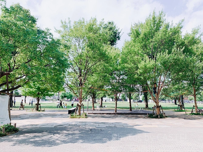 中野四季の森公園（中野セントラルパーク）