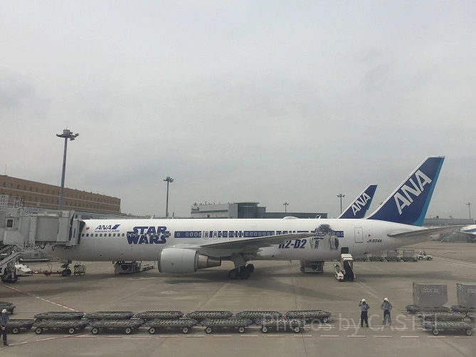 展望デッキからは飛行機が見える