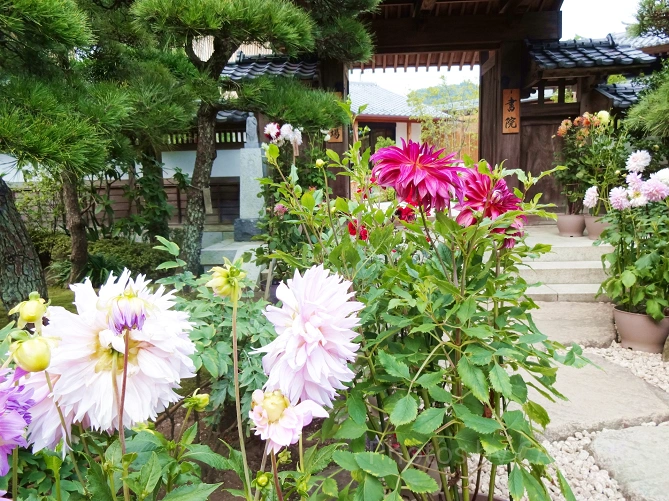 書院