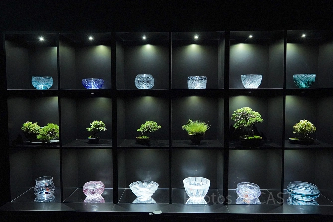 アートアクアリウム美術館 GINZAの魅力