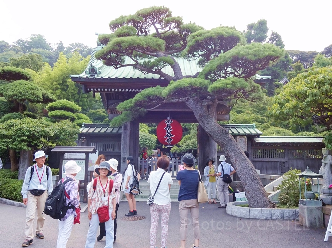 長谷寺の山門