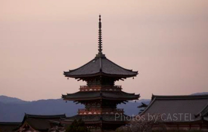 東寺の五重塔