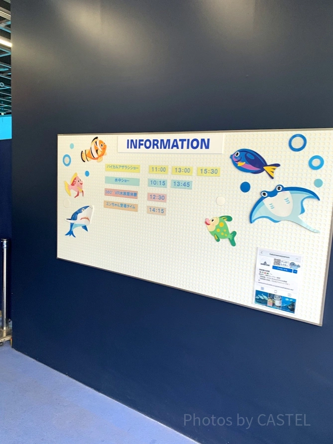 箱根園水族館のショースケジュール