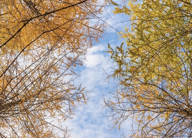 北海道の空