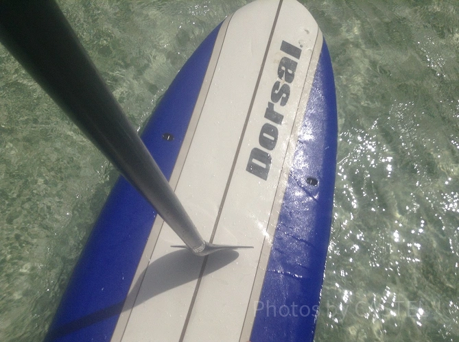 SUP