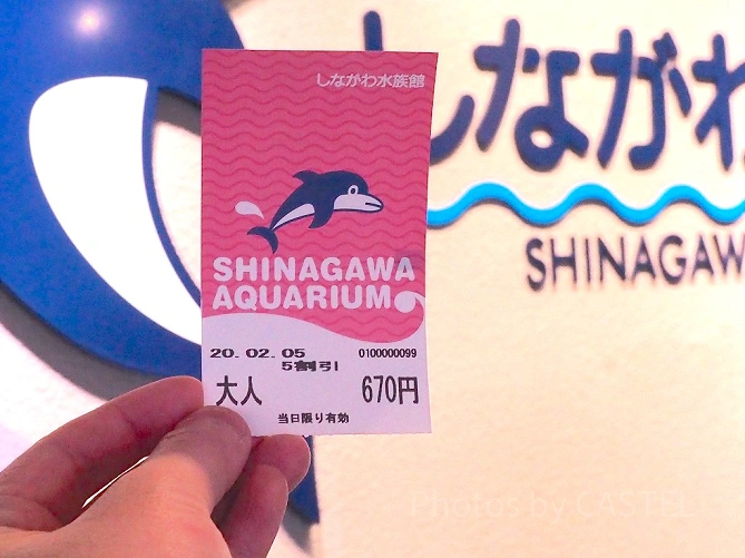 しながわ水族館の入場チケット