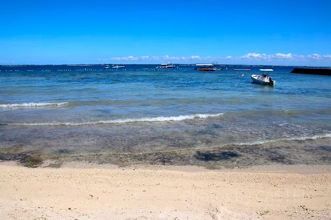 セブ島の海