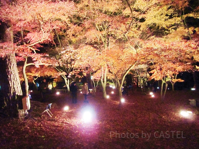 見晴公園・旧岩船氏庭園(香雪園)