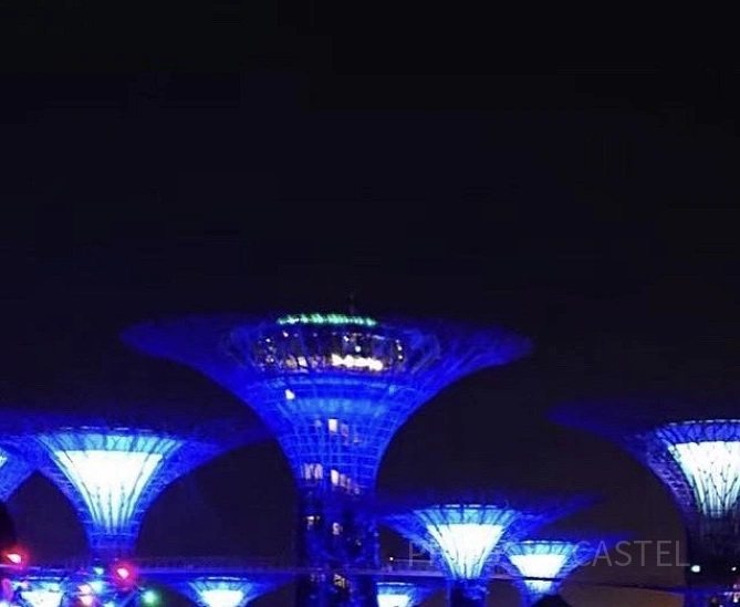 夜の様子