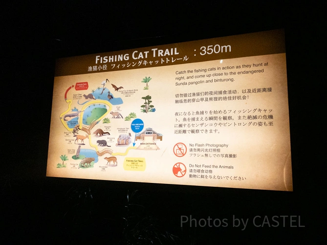 フィッシングキャットトレイル