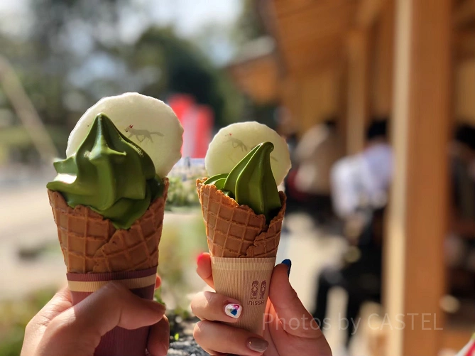 甘味処「京豆庵」の抹茶ソフト