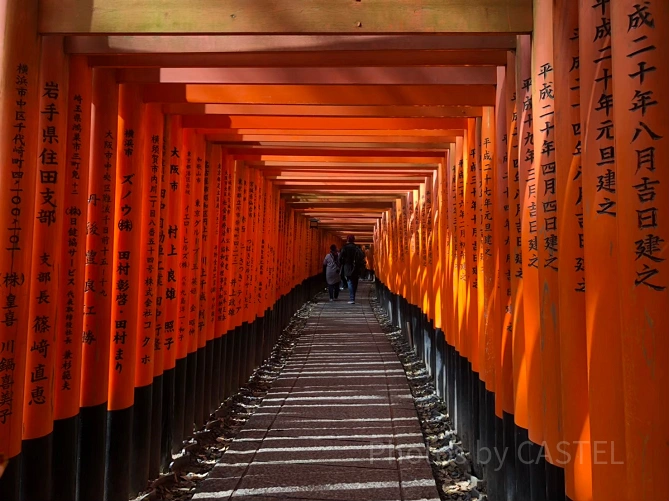伏見稲荷神社