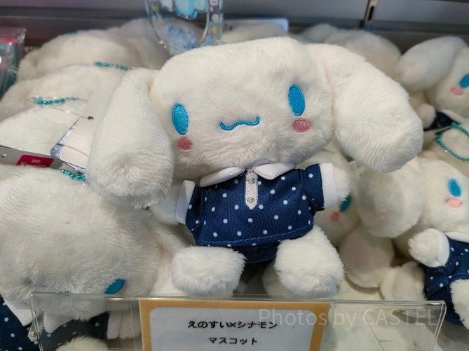 新江ノ島水族館（えのすい）お土産：シナモンマスコット