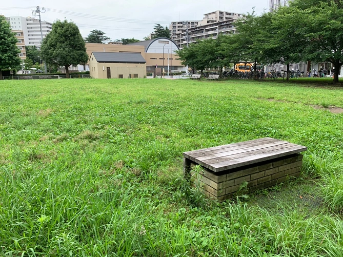 江古田の森公園の芝生広場
