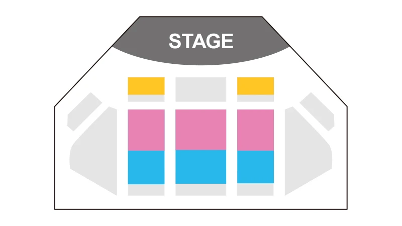 鑑賞エリア：青色がプレミアアクセス、ピンクはバケーションパッケージ、黄色はファンダフルディズニー