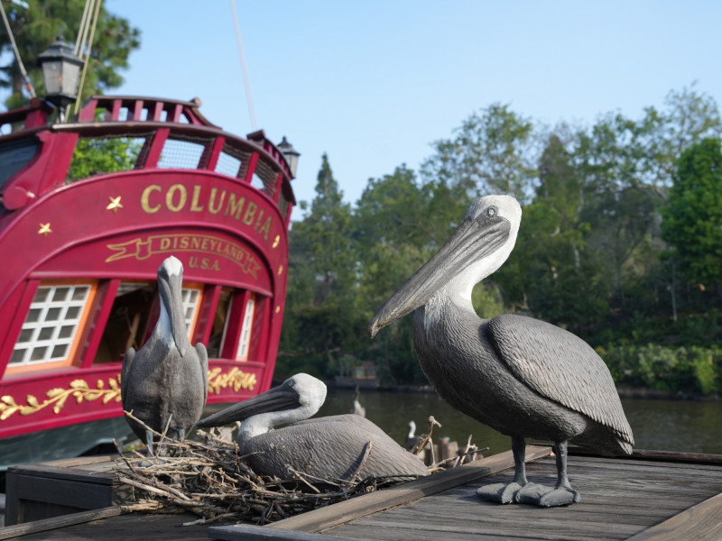 カリフォルニアアナハイムディズニー：公式アプリもチェック！