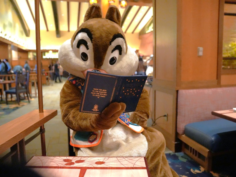 カリフォルニアディズニー年パス「マジックキー」徹底解説！種類・値段・買い方まとめ！日本人は買って得？損？