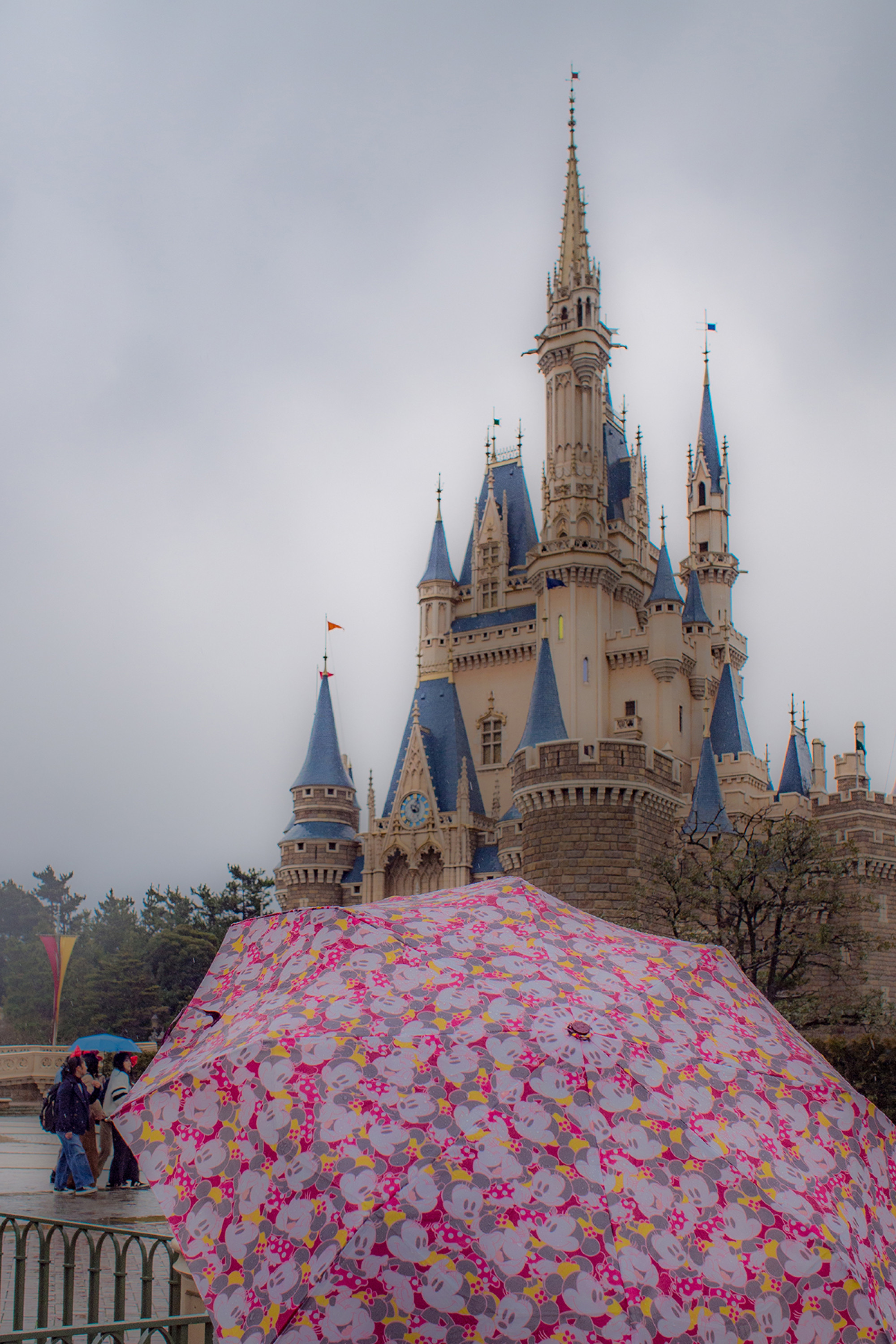 雨の日ディズニー 髪型 出会い系アプリ