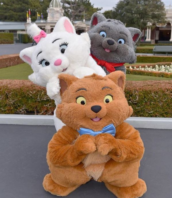 ほとんどのダウンロードディズニー画像 最新のhdディズニー おしゃれ キャット