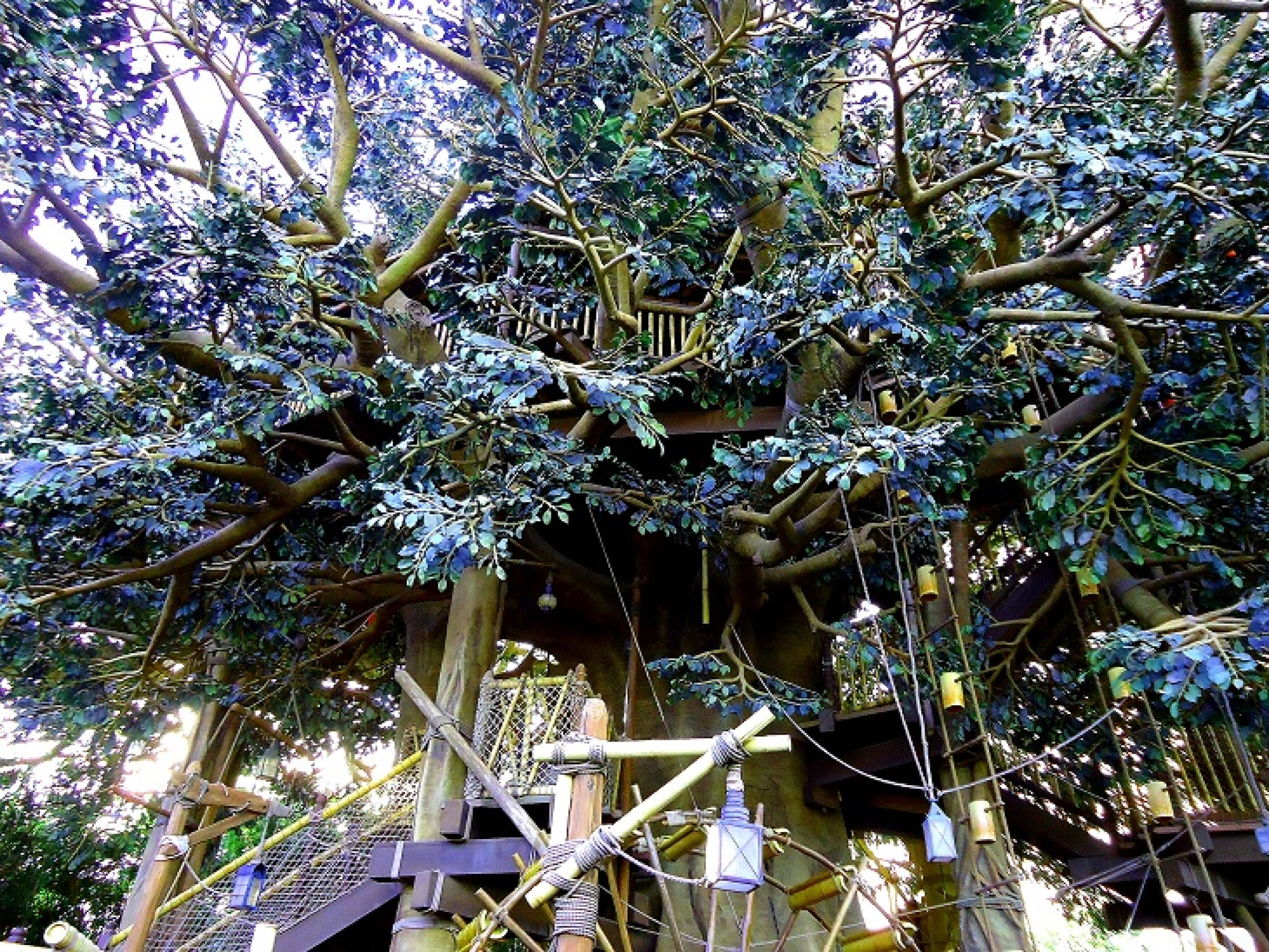 高いところからディズニーランドを一望しよう キャステル Castel ディズニー情報