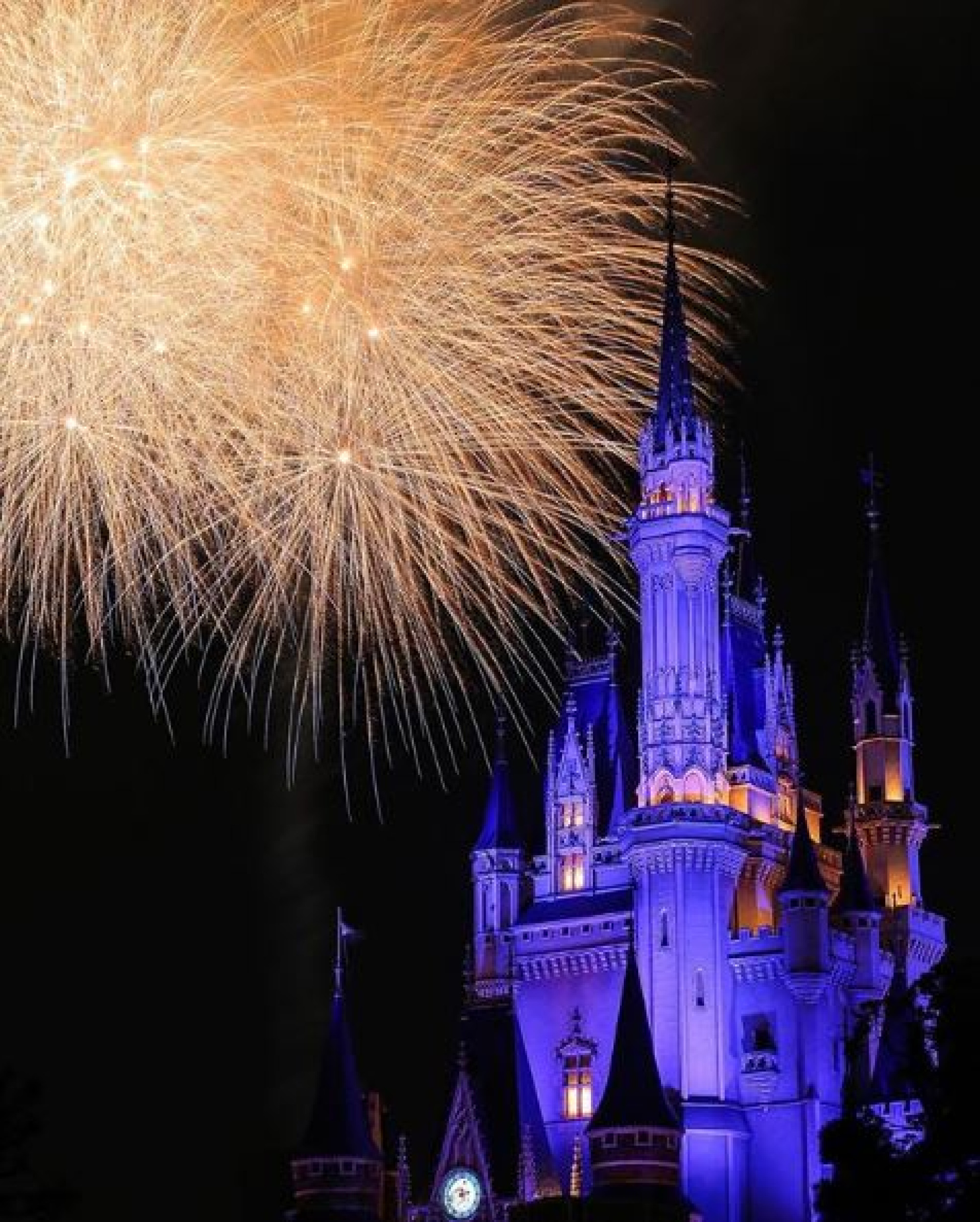 ハピネス オン ハイの基礎情報 キャステル Castel ディズニー情報