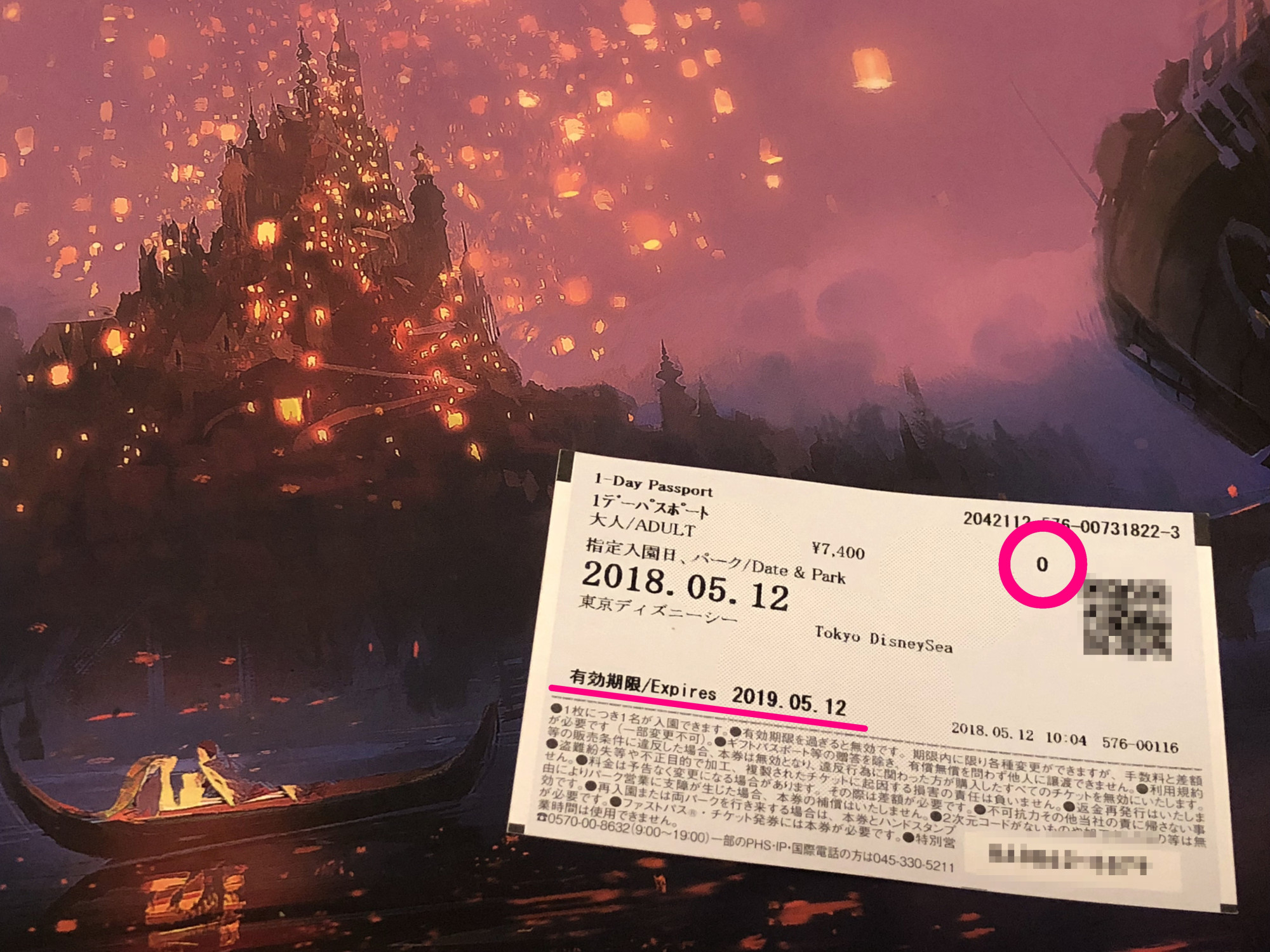 延長手続きが可能なチケットの種類とは キャステル Castel ディズニー情報