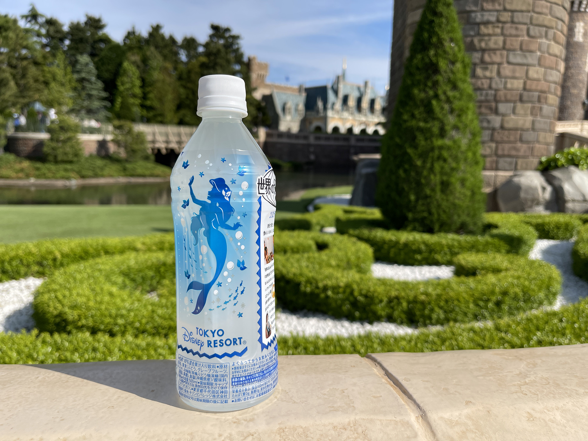 ディズニーへの持ち込み キャステル Castel ディズニー情報