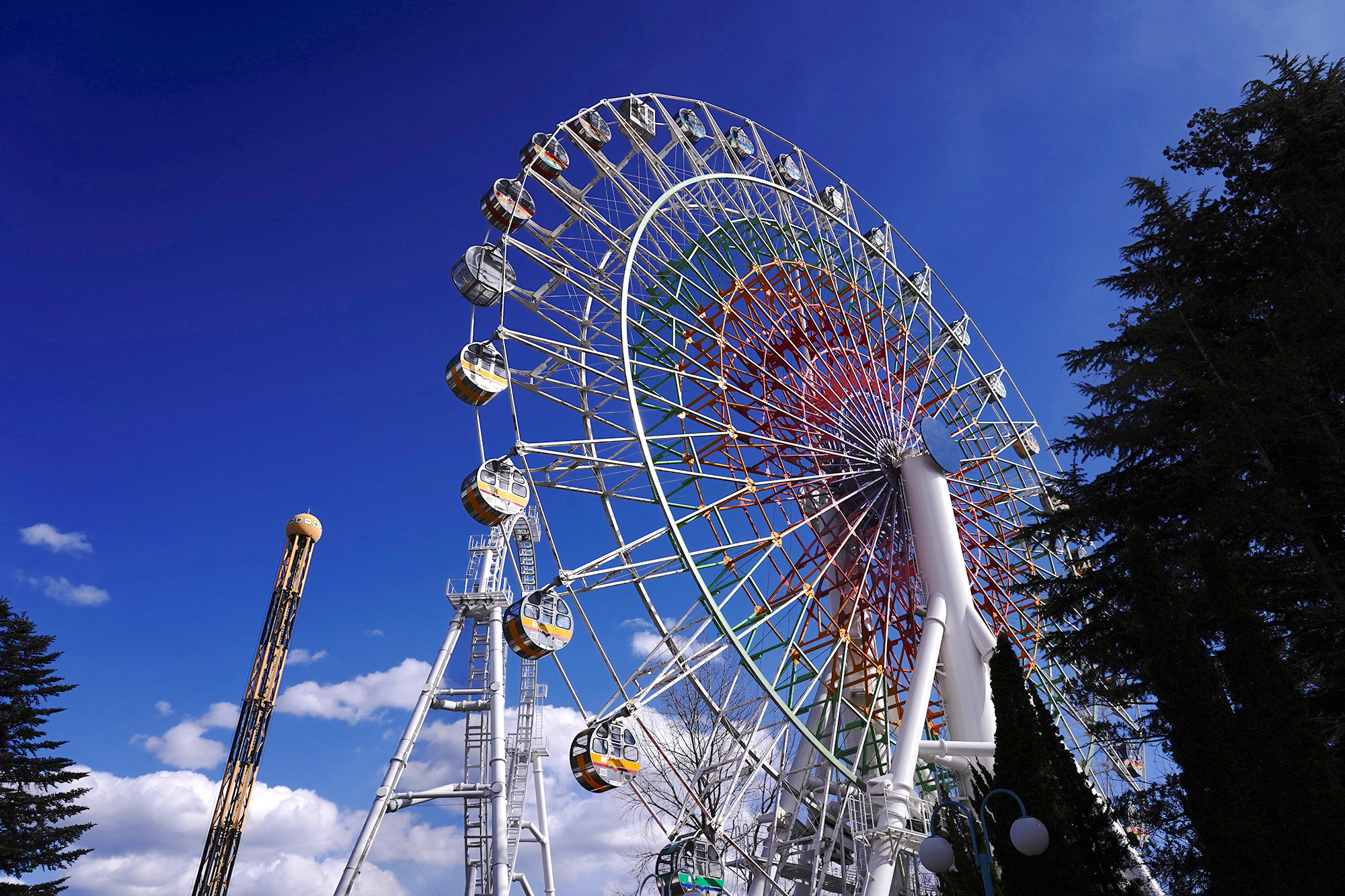 カラフルな観覧車 シャイニング フラワー キャステル Castel ディズニー情報