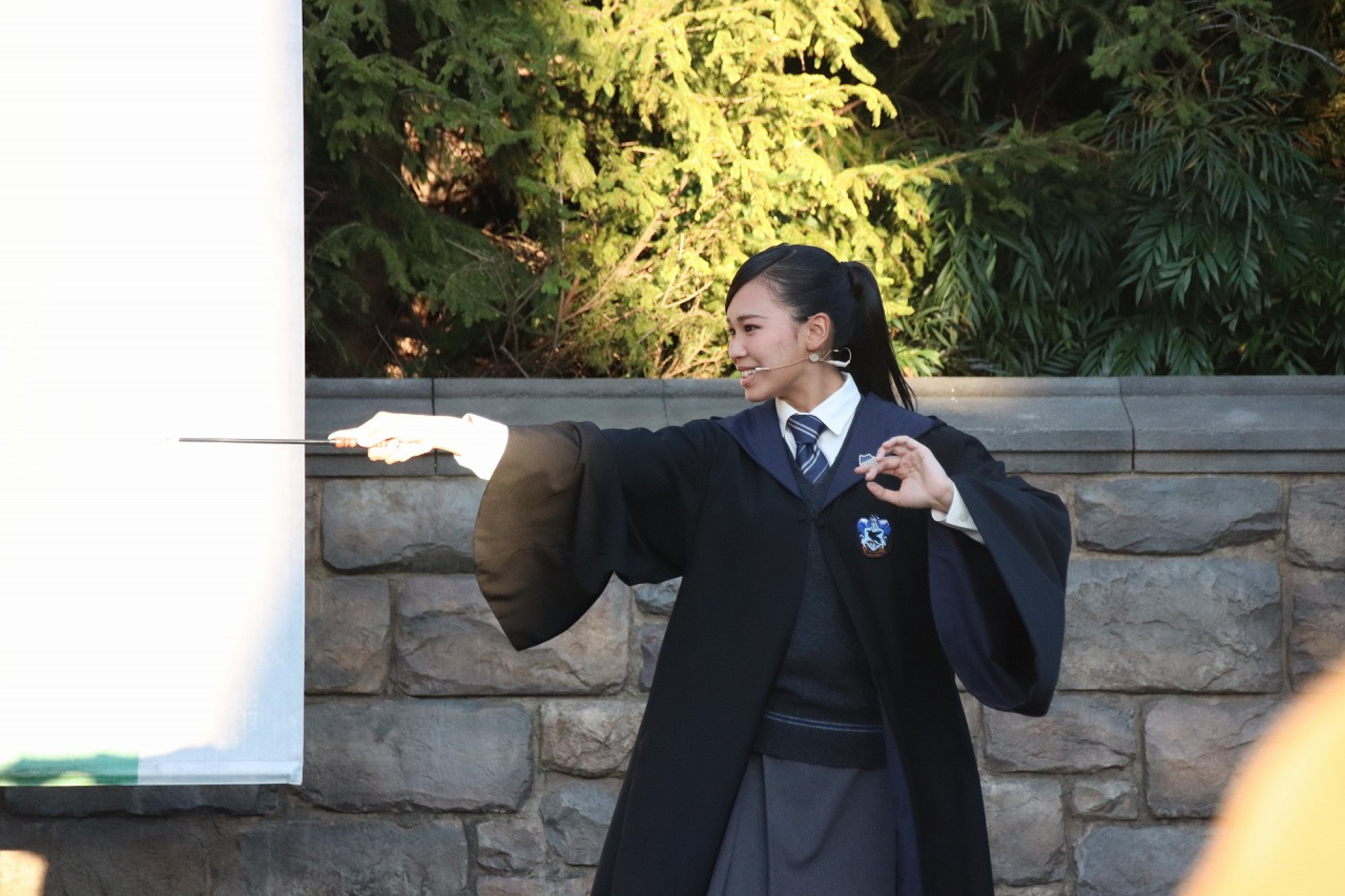 魔法をかけるレイブンクローの生徒 キャステル Castel ディズニー情報