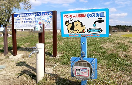 水飲み場 キャステル Castel ディズニー情報