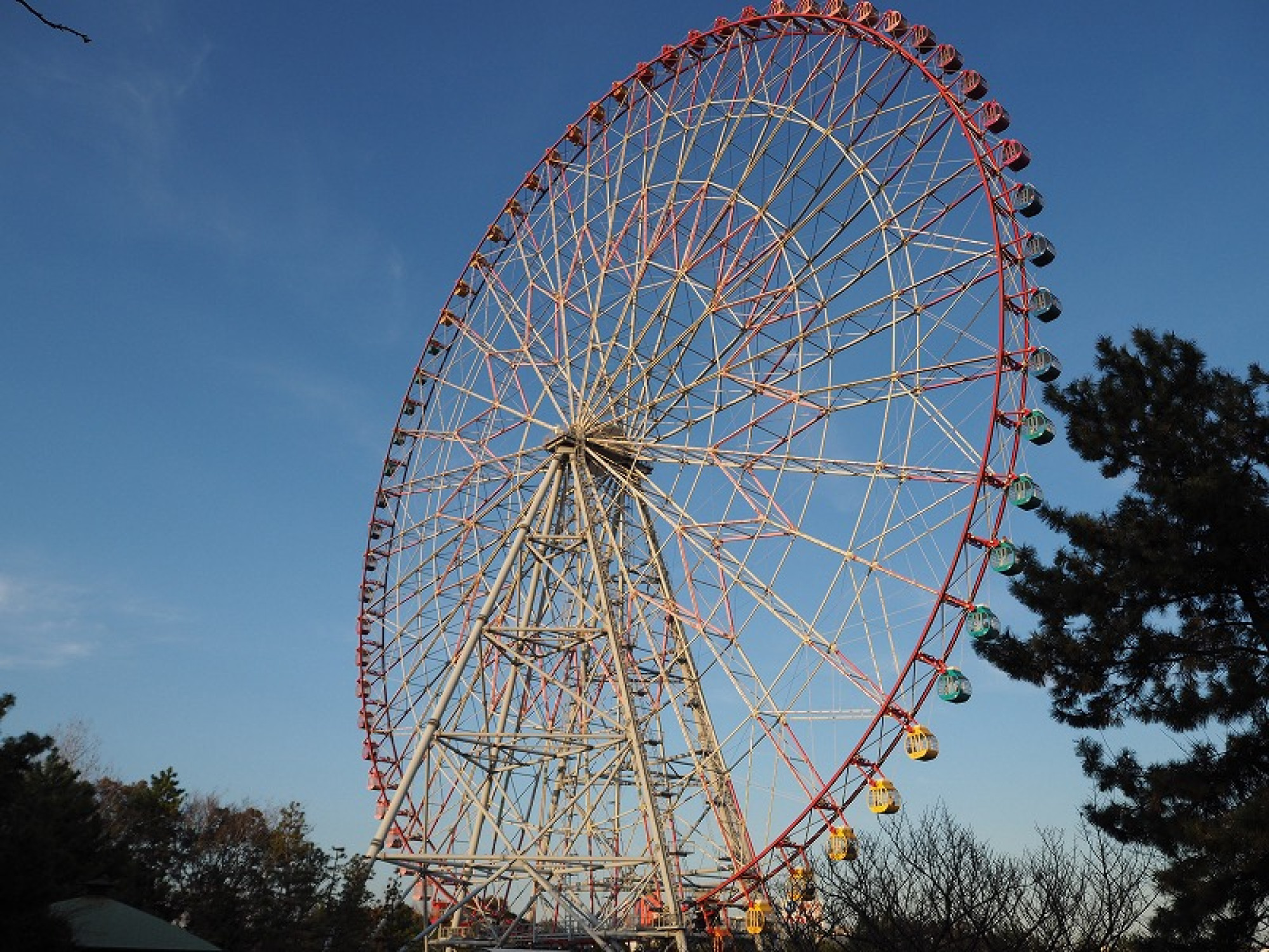 葛西臨海公園の観覧車 キャステル Castel ディズニー情報