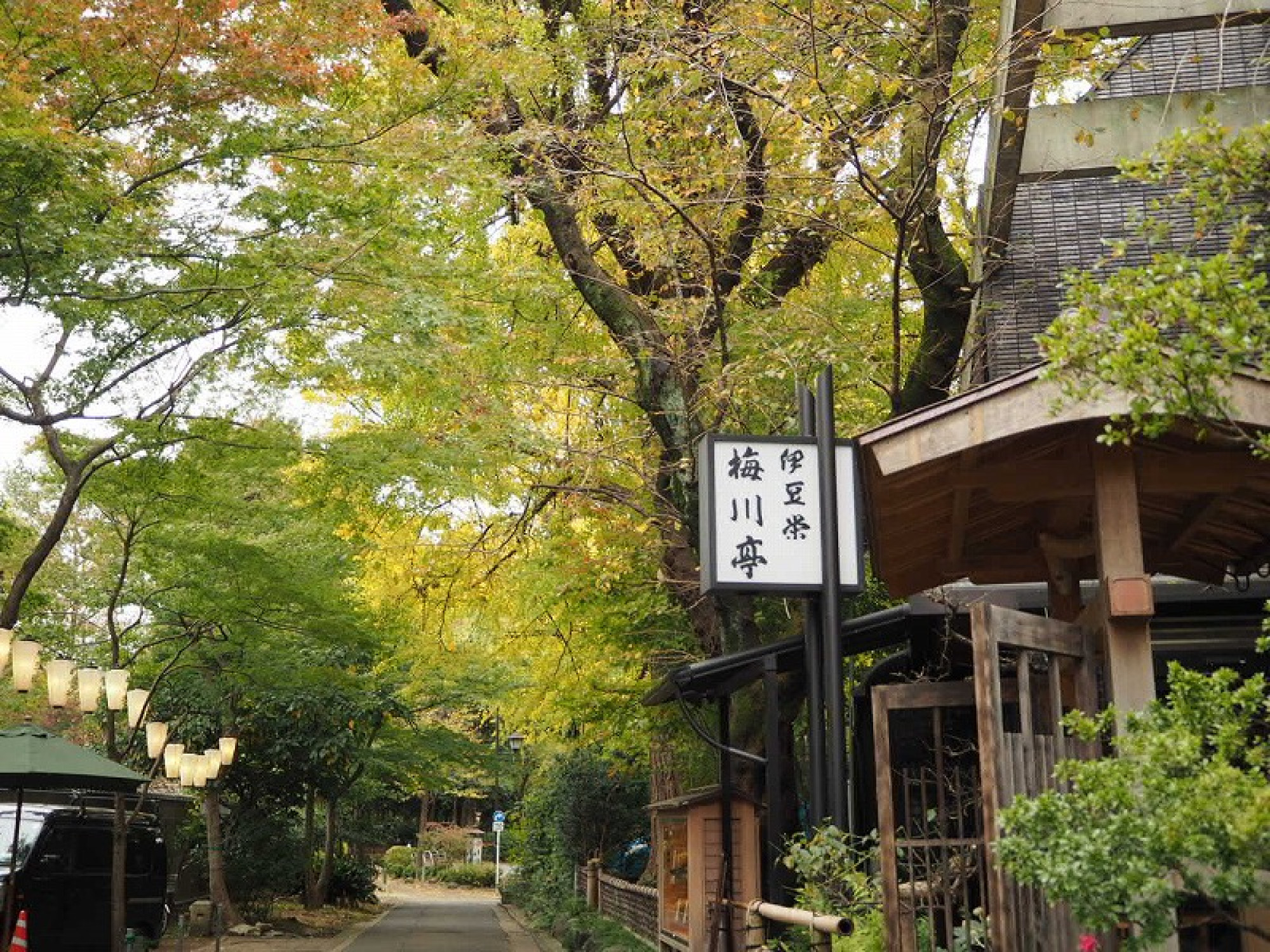 都民の日は 上野公園も綺麗ですよ キャステル Castel ディズニー情報