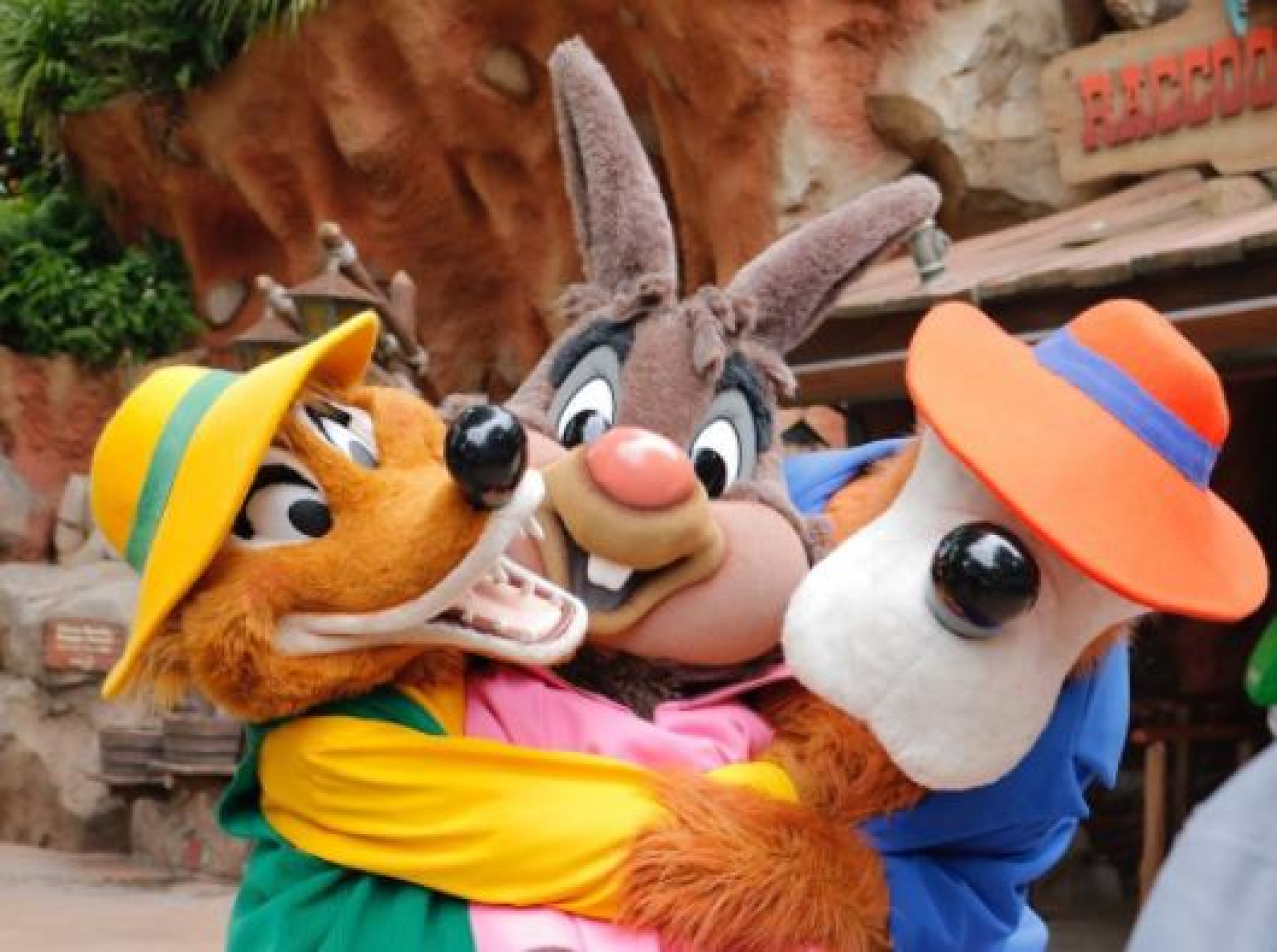 グリーティングのブレア ラビットとブレア フォックスとブレア ベア キャステル Castel ディズニー情報