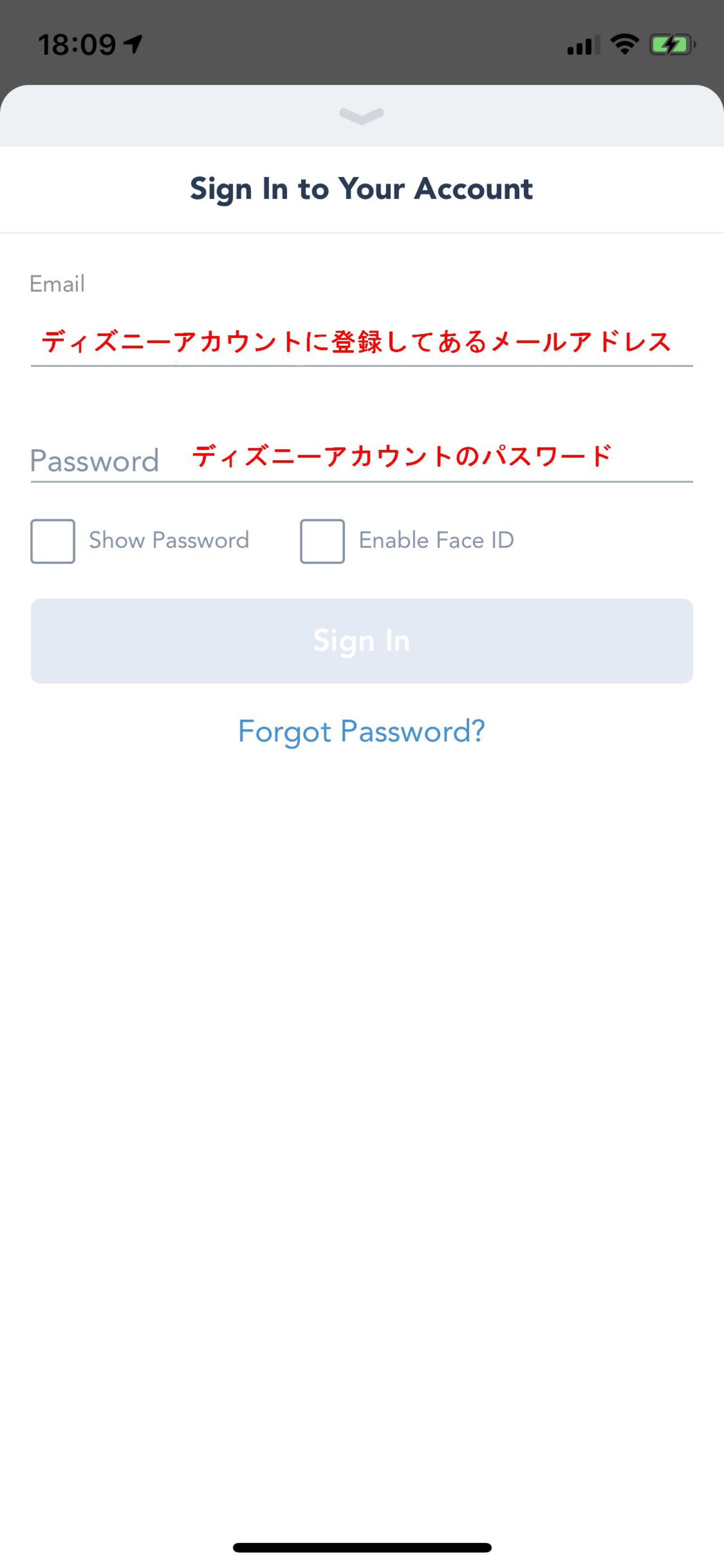 ディズニーアカウントにログイン キャステル Castel ディズニー情報
