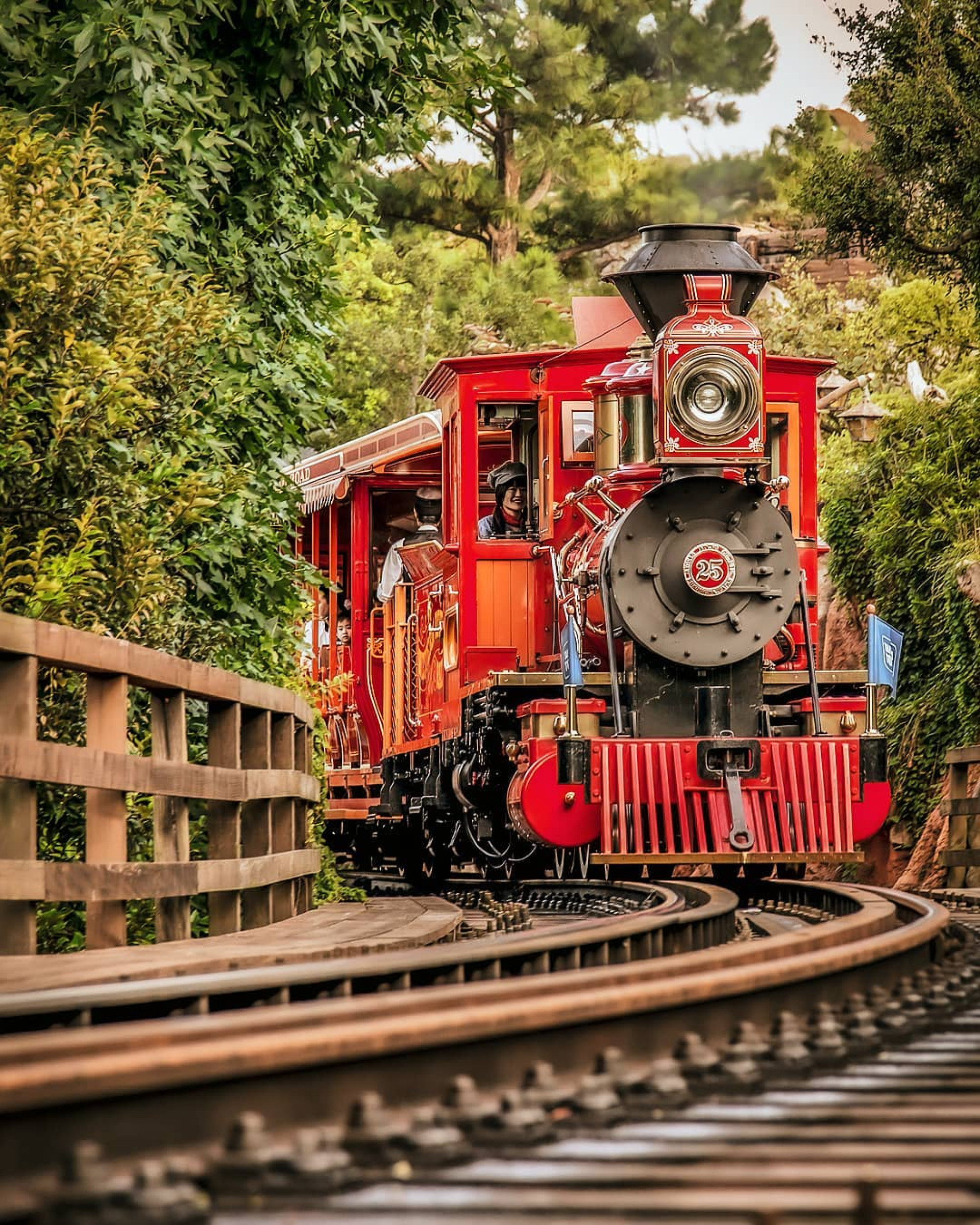 ウエスタンリバー鉄道 リオ グランデ号 キャステル Castel ディズニー情報