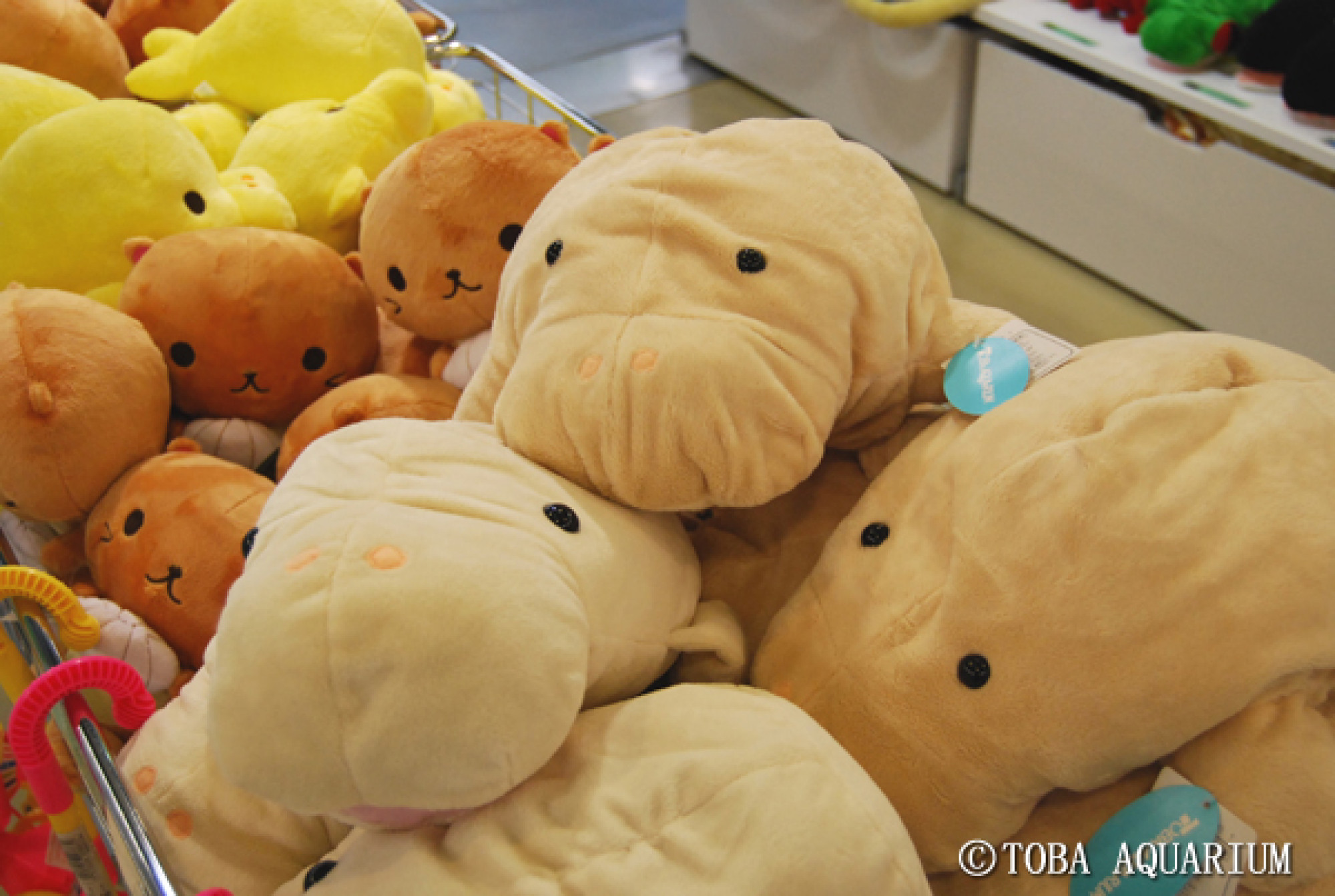 ジュゴンのぬいぐるみ キャステル Castel ディズニー情報