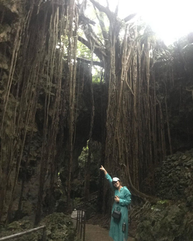 大主ガジュマル