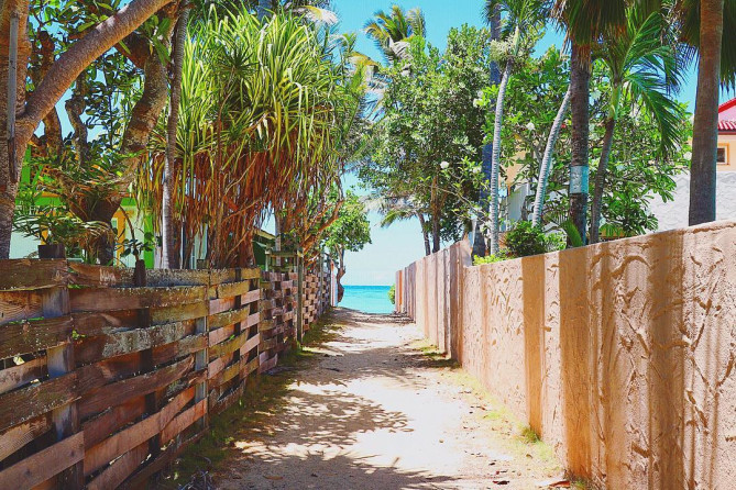 天国の海へ続く小道