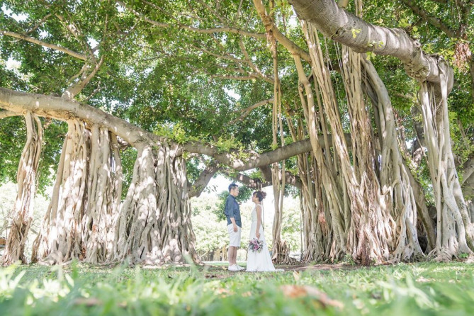 カピオラニパーク　バニヤンツリー