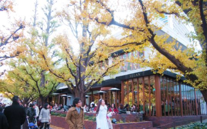 ロイヤルガーデンカフェ 青山