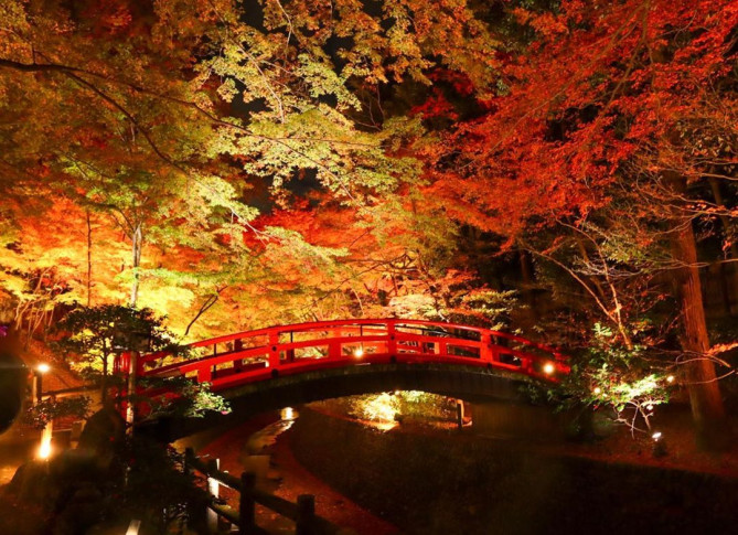もみじ苑がキレイな北野天満宮