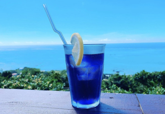 バタフライピーティー