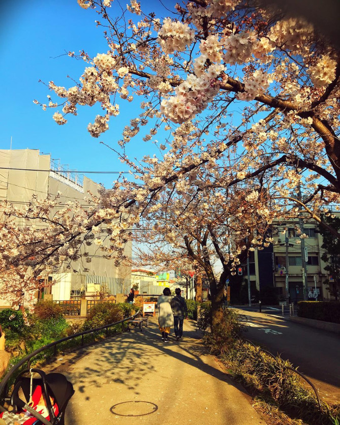 下北沢 おすすめデートスポット7選 カフェ レストラン お散歩コース 観光地も