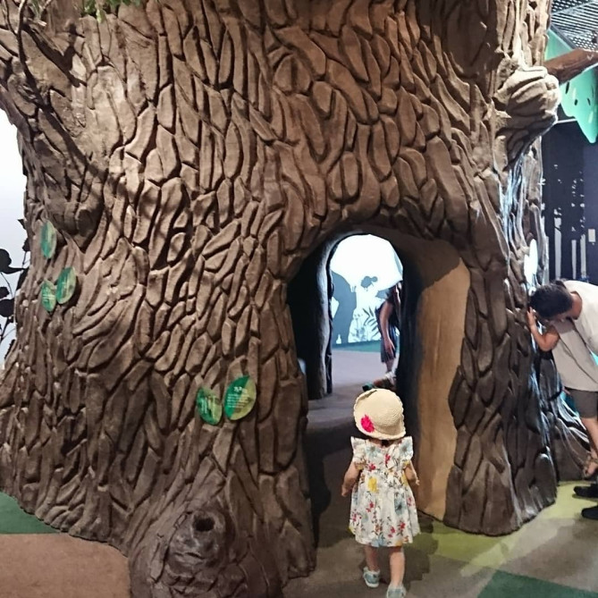 アクア・フォレスト